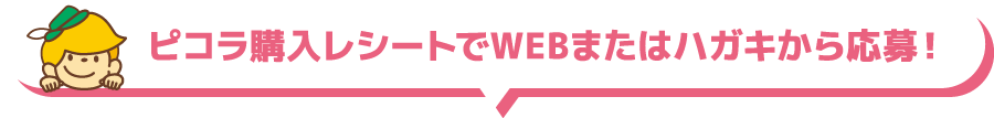 ピコラ購入レシートでWEBまたはハガキから応募！